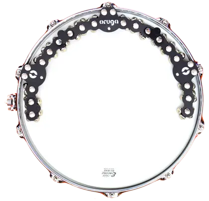 Oruga Cascabel Large - 72 Cascabeles