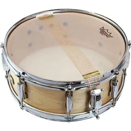 Remo 14" Bordonero Ambassador USA